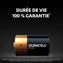 Pile alcaline D (LR20) Duracell Plus, lot de 2