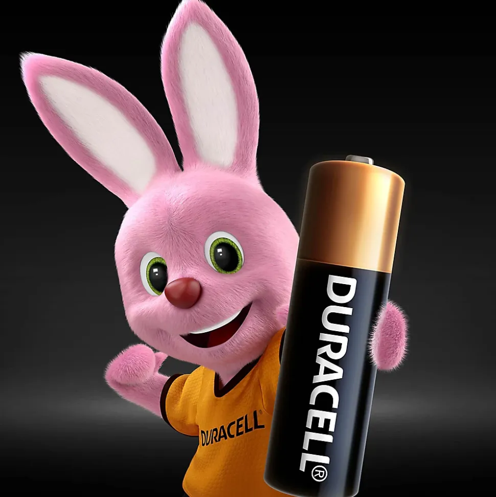 Pile alcaline MN21 Duracell, lot de 2