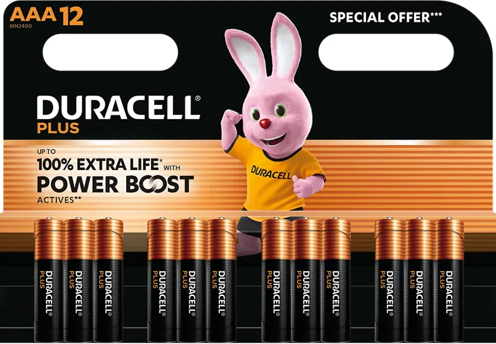 Piles alcaline AAA LR3 Duracell Plus Powerboost - lot de 12