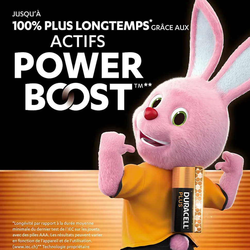Piles alcaline AAA LR3 Duracell Plus Powerboost - lot de 12