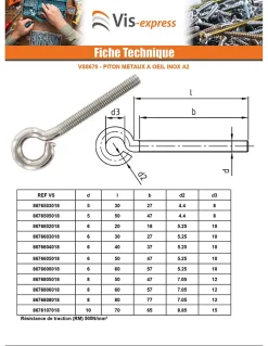 Piton Métaux M6X60 Oeil 10 Inox A2 - 10 pièces