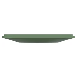 Plaque de finition 1 poste Schneider Electric Ovalis S320702B coloris vert forêt l.87 x P.10 x H.87 mm