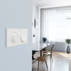 Plaque de finition 2 postes Schneider Electric Odace Styl S520704 coloris blanc l.156 x P.10 x H.85 mm