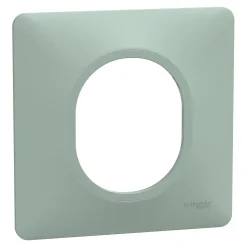 Plaque de finition 1 poste Schneider Electric Ovalis S320702A coloris sauge l.87 x P.10 x H.87 mm