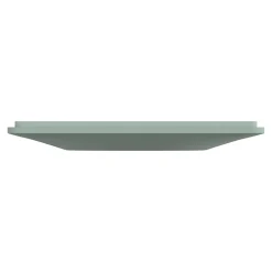 Plaque de finition 1 poste Schneider Electric Ovalis S320702A coloris sauge l.87 x P.10 x H.87 mm