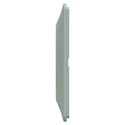 Plaque de finition 1 poste Schneider Electric Ovalis S320702A coloris sauge l.87 x P.10 x H.87 mm
