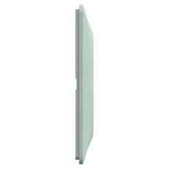 Plaque de finition 1 poste Schneider Electric Ovalis S320702A coloris sauge l.87 x P.10 x H.87 mm