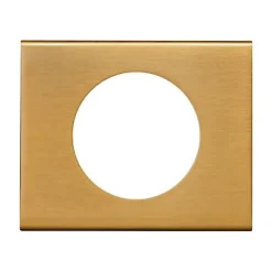 Plaque de finition 1 poste Legrand Céliane 0 691 31 coloris bronze doré l.100 x P.8,5 x H.82 mm