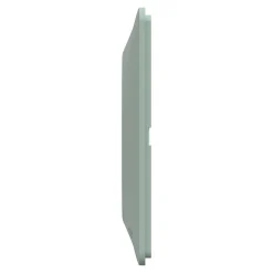 Plaque de finition 2 postes Schneider Electric Ovalis S320704A coloris sauge l.158 x P.10 x H.87 mm