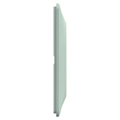 Plaque de finition 2 postes Schneider Electric Ovalis S320704A coloris sauge l.158 x P.10 x H.87 mm