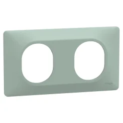 Plaque de finition 2 postes Schneider Electric Ovalis S320704A coloris sauge l.158 x P.10 x H.87 mm