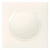 Plaque de finition 1 poste Legrand Dooxie 6 009 01 coloris blanc l.87 x P.10 x H.87 mm