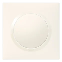 Plaque de finition 1 poste Legrand Dooxie 6 009 01 coloris blanc l.87 x P.10 x H.87 mm