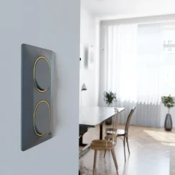 Plaque de finition 1 poste Schneider Electric Ovalis S340702E coloris anthracite avec liseré laiton l.87 x P.10 x H.87 mm