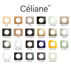 Plaque de finition 1 poste Legrand Céliane CP1721 coloris aluminium satiné l.90 x P.9 x H.82 mm