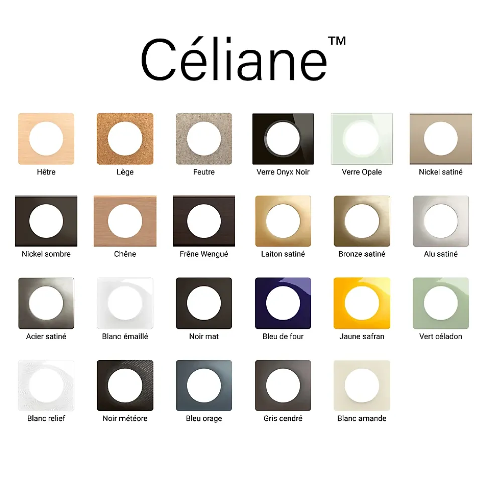 Plaque de finition 1 poste Legrand Céliane CP1721 coloris aluminium satiné l.90 x P.9 x H.82 mm