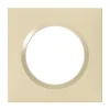 Plaque de finition 1 poste Legrand Dooxie 6 008 11 coloris dune mat avec bague dune brillante l.87 x P.10 x H.87 mm