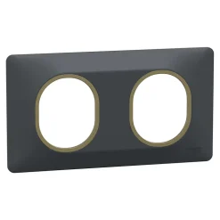 Plaque de finition 2 postes Schneider Electric Ovalis S340704E coloris anthracite avec liseré laiton l.158 x P.10 x H.87 mm
