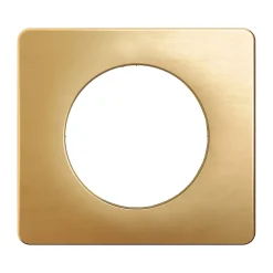 Plaque de finition 1 poste Legrand Céliane CP1221 coloris laiton satiné l.90 x P.9 x H.82 mm