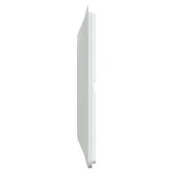 Plaque de finition 1 poste Schneider Electric Ovalis S320702D coloris blanc avec liseré laiton l.87 x P.10 x H.87 mm