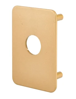 Plaque de renfort pour verrou Transit 2 et Capital, epoxy or - THIRARD