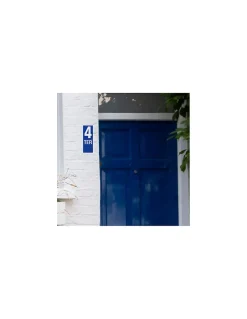 Plaque de signalisation TER, marquage blanc sur fond bleu, panneau PVC adhésif, 65x90mm - THIRARD