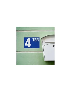 Plaque de signalisation TER, marquage blanc sur fond bleu, panneau PVC adhésif, 65x90mm - THIRARD