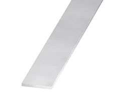 Plat aluminium anodisé coloris inox 50 x 3 mm, 2 m