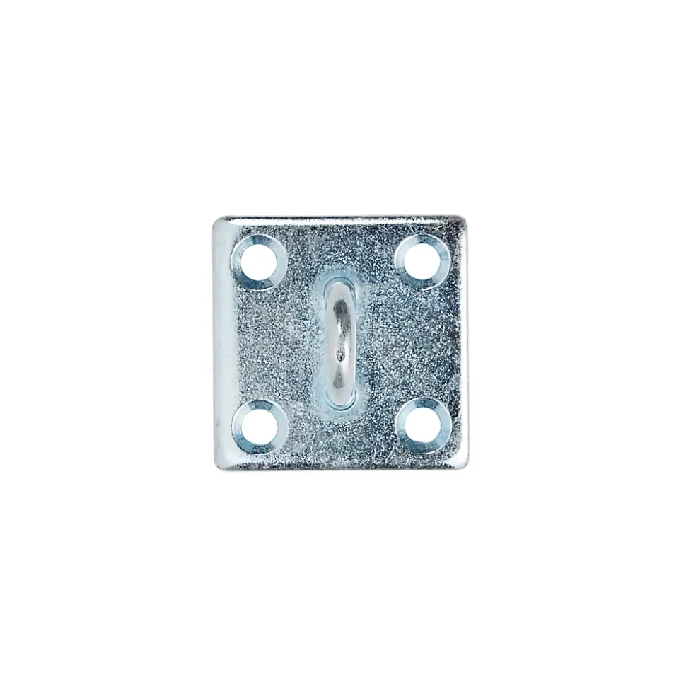 Platine de fixation avec anneau fixe