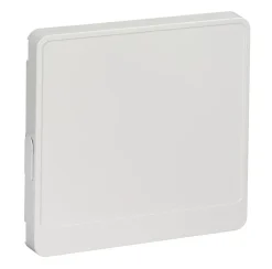 Porte pour coffret 1 rangée Schneider Electric Resi9 blanc