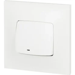 Poussoir lumineux Legrand Neptune plastique blanc