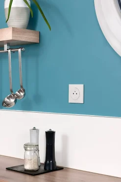 Prise avec terre affleurante Legrand Dooxie blanc carrée