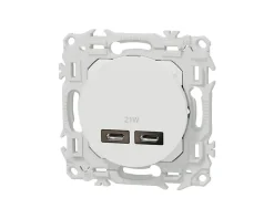 Prise chargeur USB double type C Blanc craie Schneider Odace