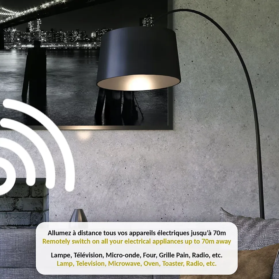 Prise commandable à distance FISHTEC Avec Interrupteur