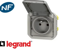 Prise de courant 16A 2P+T Legrand Plexo™ grise composable