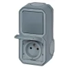 Prise et interrupteur Legrand Plexo gris en saillie