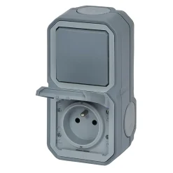 Prise et interrupteur Legrand Plexo gris en saillie