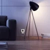 Prise variateur de lumière sans fil intérieure smartwares