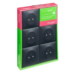 Prises de courant avec terre affleurante complète Schneider Electric Ovalis anthracite, lot de 5