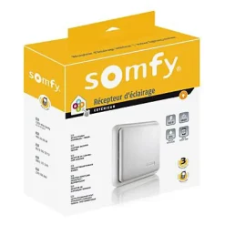 Récepteur radio Somfy 2400583 pour commande d'éclairage