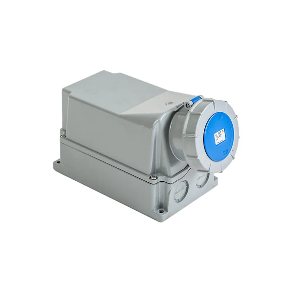 Socle De Prise 125a Monophasé 2p+t - étanche Ip67 - Ide