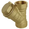 Somatherm For You - Filtre en Y en laiton Double Femelle 3/4 tamis en acier inox