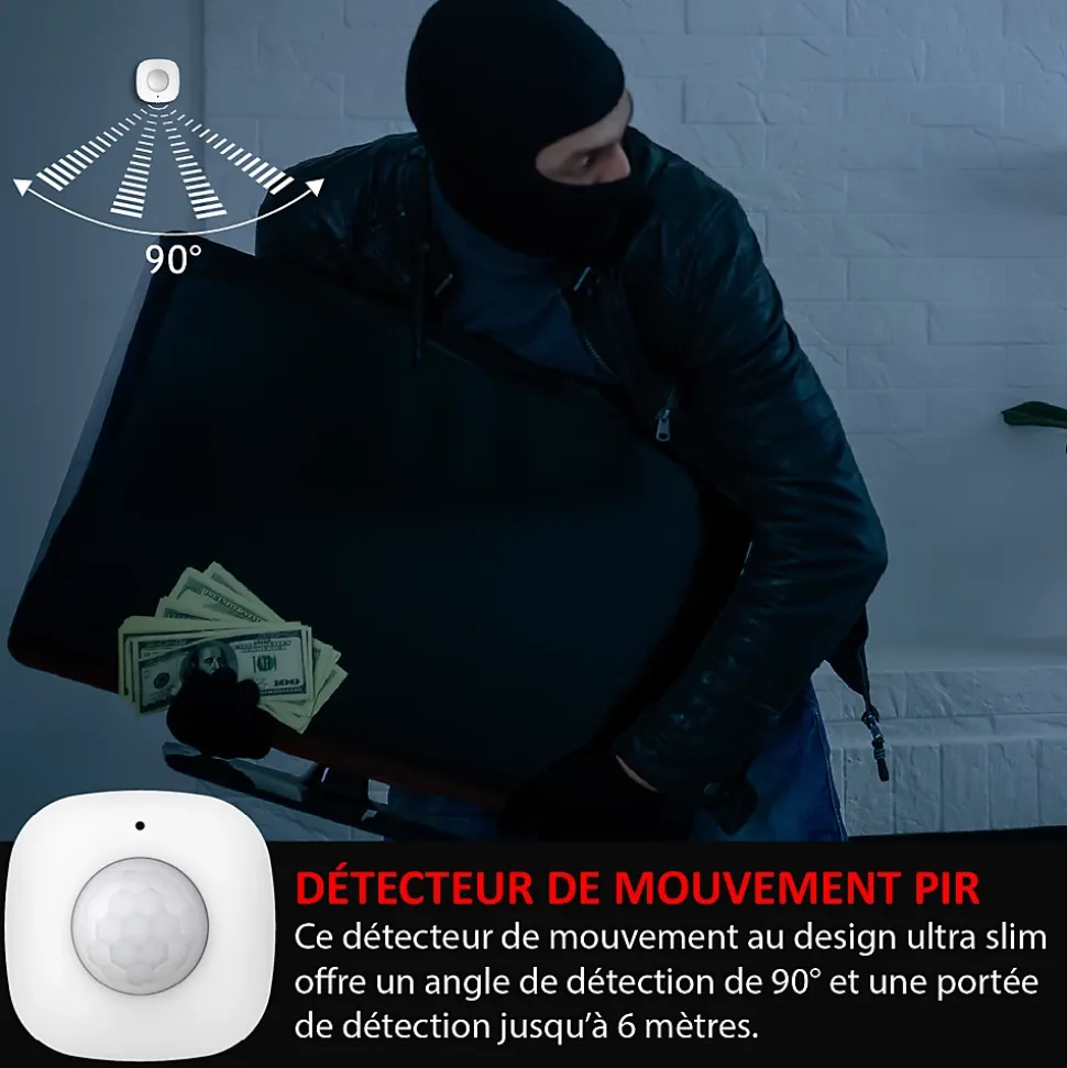 Système d'alarme 868Mhz Wifi, sirène extérieure solaire ,caméra IP