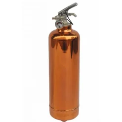 Système d’extinction d'incendie ABC 1 kg Lifebox avec manomètre cuivre