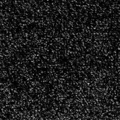 Tapis de Porte Paillasson d'entrée Monochrom Noir 200 x 200 cm