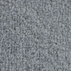 Tapis de Porte Paillasson d'entrée Monochrom Gris argent 40 x 60 cm