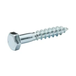 Tirefonds DIN 571 zingués 5x30 mm - 10 pièces