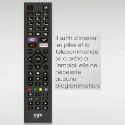 Télécommande CGV Fidelio Hisense 55 boutons Noire infrarouge prête à l'emploi