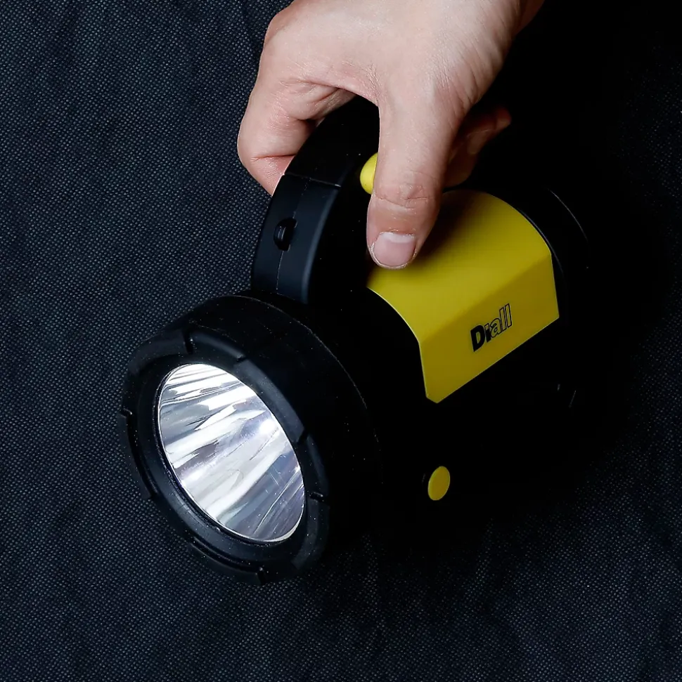 Torche rechargeable Diall 300 lumens
