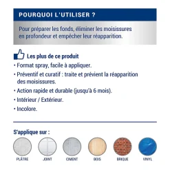 Traitement anti-moisissures intérieur extérieur Ripolin 0,5L